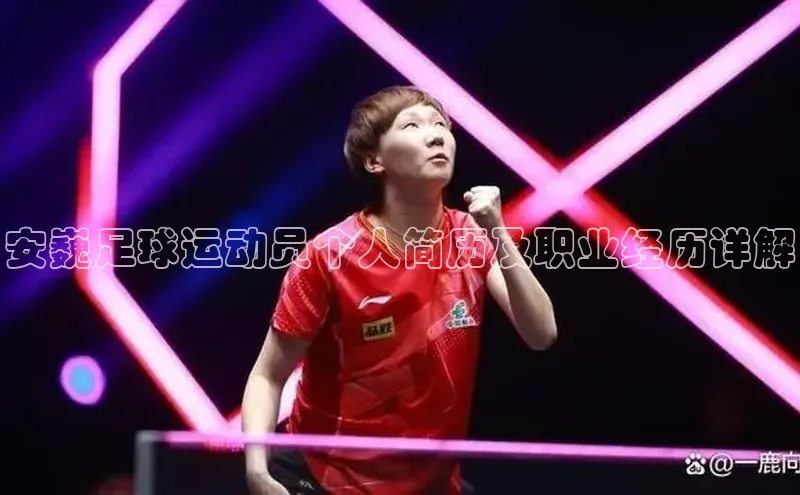 焦点娱乐注册地址百度教育安巍足球运动员个人简历及职业经历详解