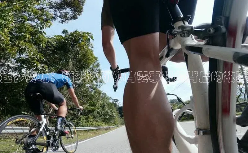 逐梦赛场：精彩运动体育赛事视频背后的故事