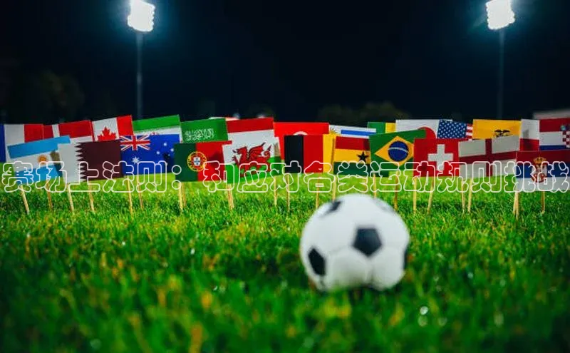 赛场上法则：和应对各类运动规则挑战