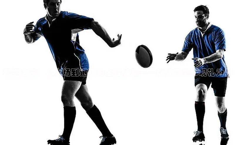 观赛之花：从入场到退场的全程体验——以体育赛事观礼为例