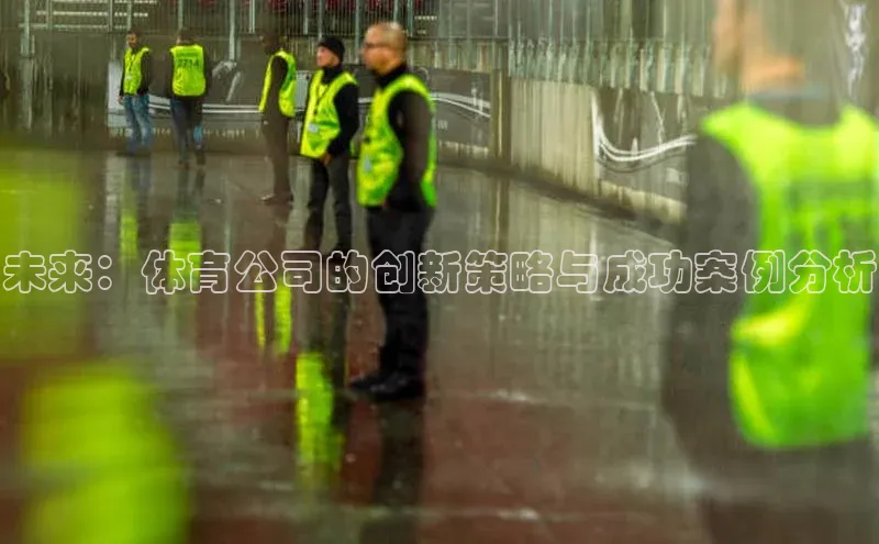 未来：体育公司的创新策略与成功案例分析
