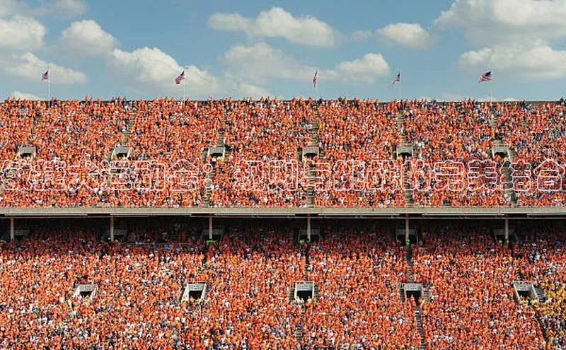 敏捷犬运动会：规则与挑战的完美结合