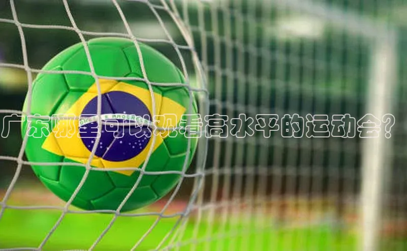 广东哪里可以观看高水平的运动会？