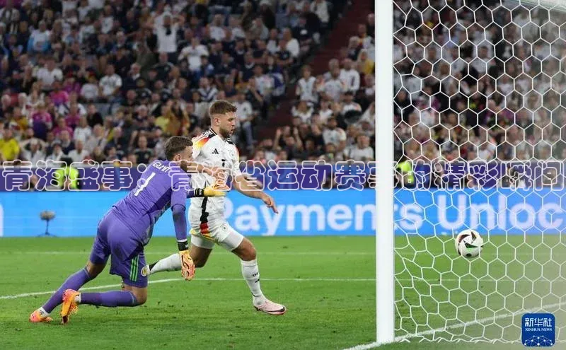 青海盛事：青海省运动赛事的精彩瞬间