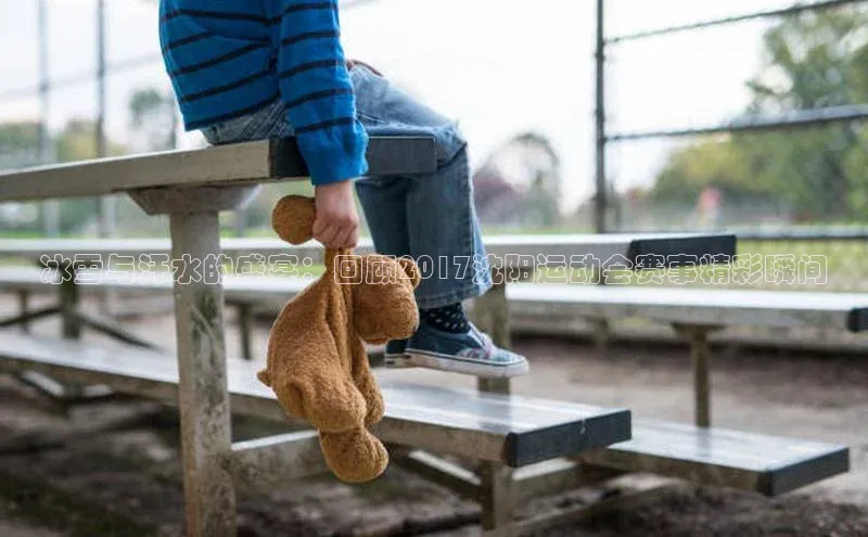 冰雪与汗水的盛宴：回顾2017沈阳运动会赛事精彩瞬间