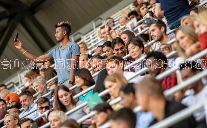 焦点平台的注册与登录地址