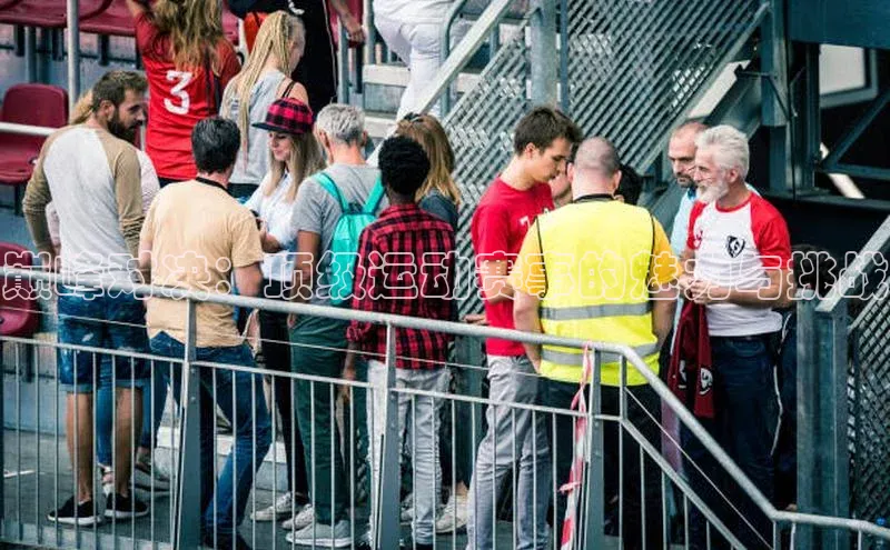 焦点登录地址入口