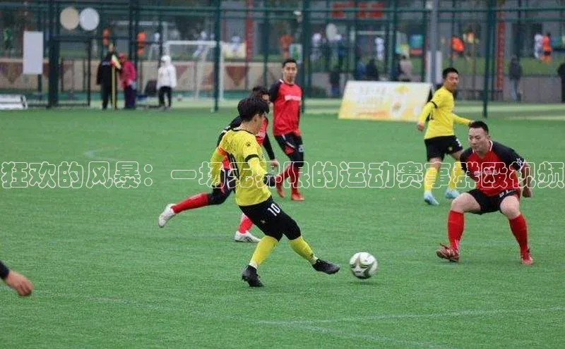 焦点娱乐app下载官网