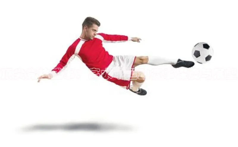 焦点登录地址入口