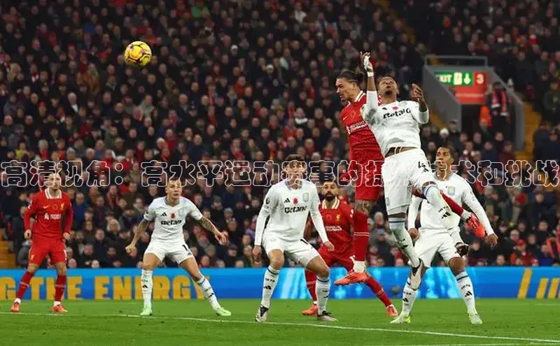 焦点手机登录平台